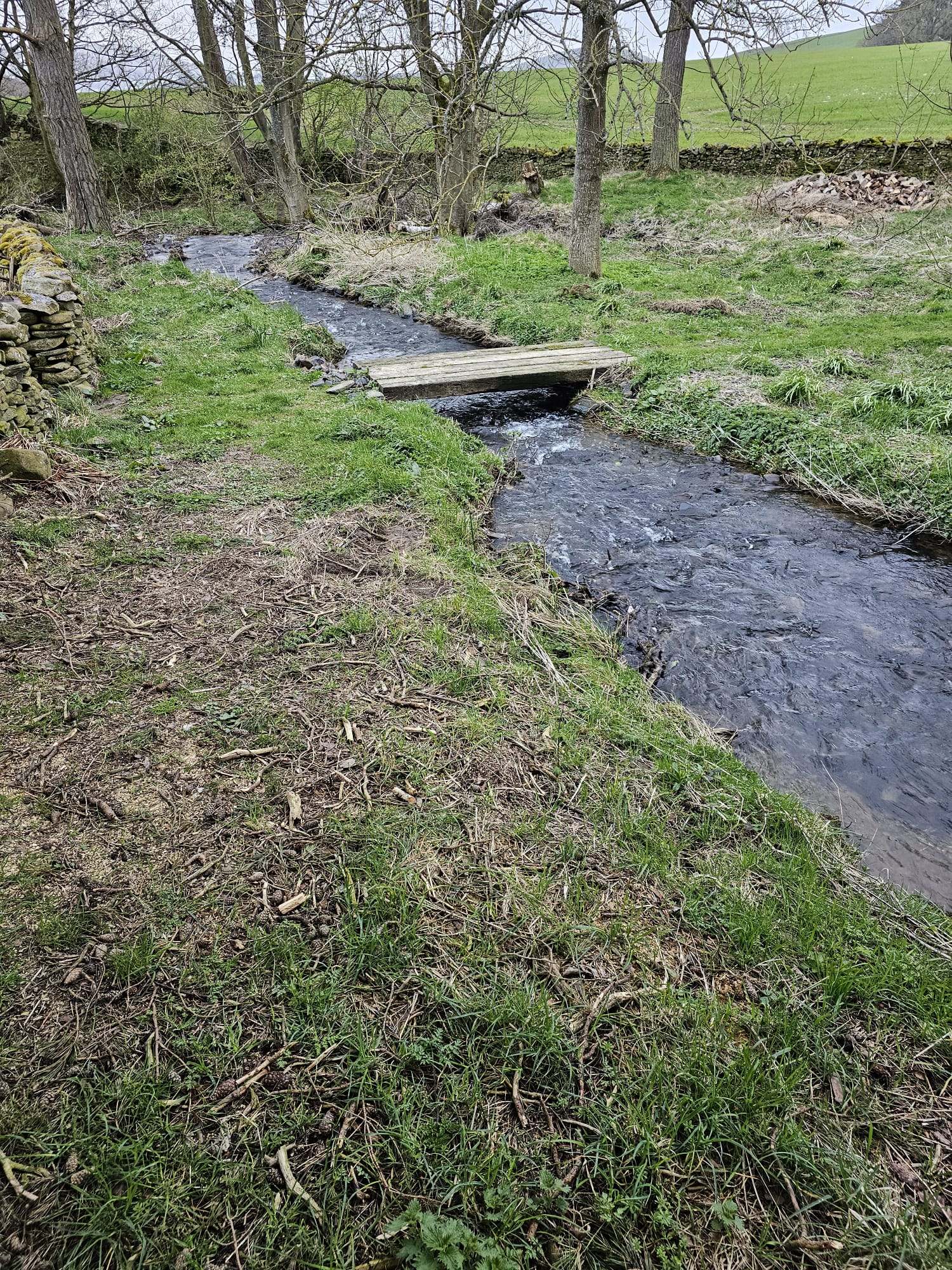 Before - Timber bridge